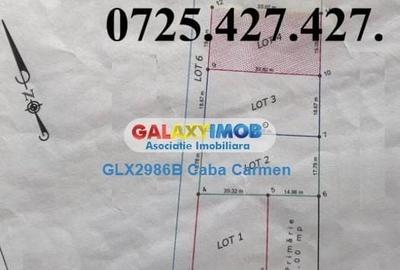 Spațiu comercial, în Domnești