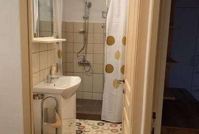Garsonieră decomandată în Freidorf - 4