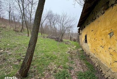 Teren de 2038 mp, în Ghercești - 16