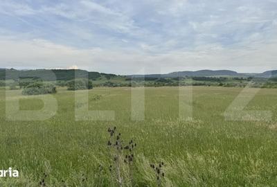 Teren de 5500 mp, în Livezile - 3