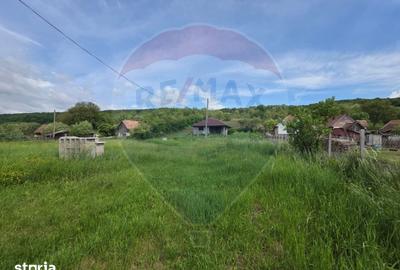 Casă cu 3 camere cu Teren 4234 Mp în Adămuș - 5