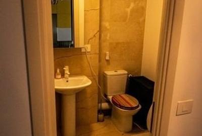 Apartament cu 2 camere semidecomandat în Tătărași - 7
