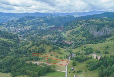 Teren Construcții intravilan de 2058 mp, în Dâmbovicioara - 18