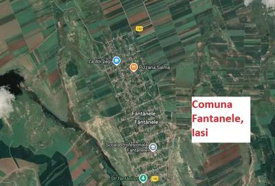 Teren de 10000 mp, în Fântânele