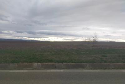 Teren de 5000 mp, în Central