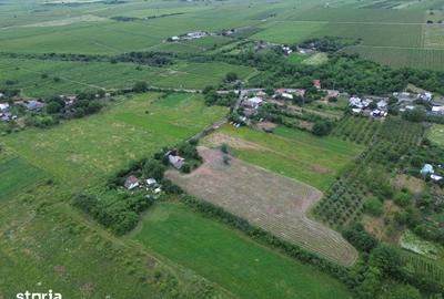 Teren de 4229 mp, în Cârligele - 6