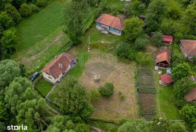 Casă cu 6 camere cu Teren 2143 Mp în Ribița - 18