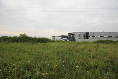 Teren agricol extravilan de 9400 mp, în Mehala - 3