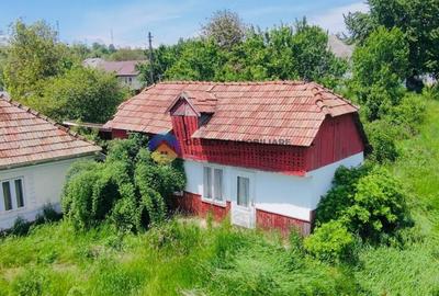 Casă individuală cu 2 camere cu Teren 2273 Mp în Grumăzești - 3