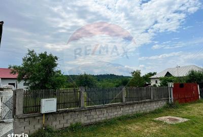 Casă cu 3 camere cu Teren 1000 Mp în Bradu - 18