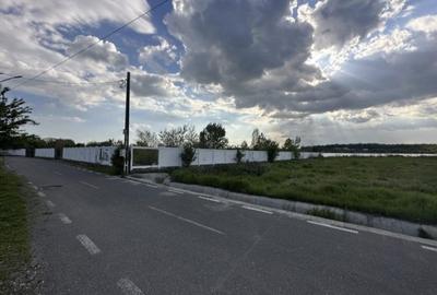 Teren Construcții intravilan de 1250 mp, în Cernica - 6