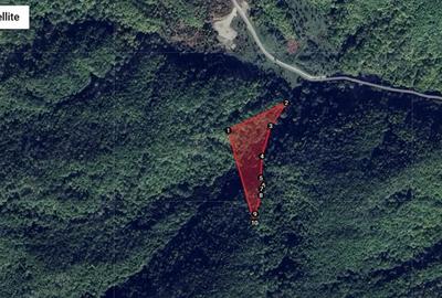 Teren de 20000 mp, în Bordenii Mari - 1