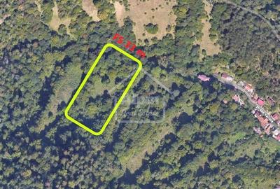 Teren intravilan de 3300 mp, în Schei