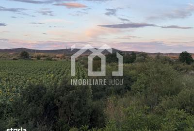 Teren de 7194 mp, în Bonț
