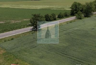 Teren de 50000 mp, în Hălchiu