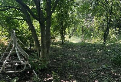 Casă cu 4 camere în Lipia - 1