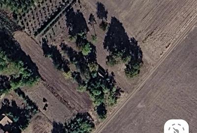 Teren de 1260 mp, în Peregu Mic