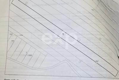 Teren agricol extravilan de 5000 mp, în Dumbrava - 2