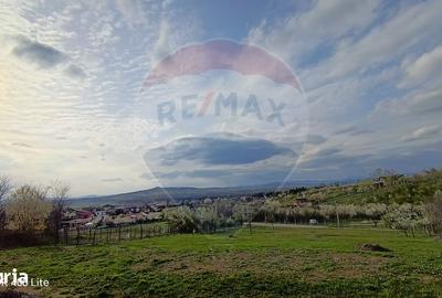 Teren de 1423 mp, în Păulești