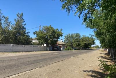 Proprietate specială, de 370,000 mp, în Cotorca - 4