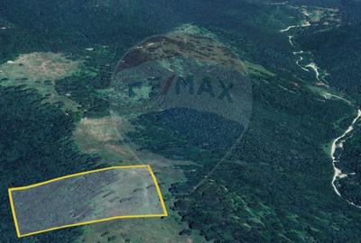 Teren agricol extravilan de 23000 mp, în Glăjărie - 3