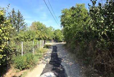 Teren Construcții intravilan de 2161 mp, în Ciolpani - 1