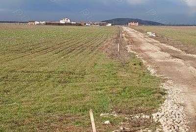 Teren de 300 mp, în Berceni - 10