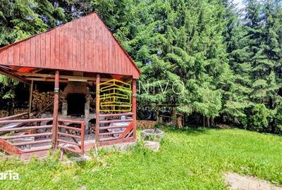 Casă cu 4 camere cu Teren 850 Mp în Lunca - 6