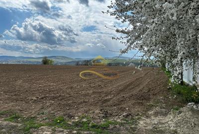 Teren Construcții intravilan de 4374 mp, în Trebeș - 1