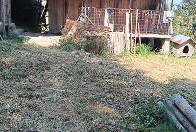 Casă cu 4 camere cu Teren 1100 Mp în Central