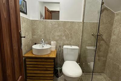 Casă individuală cu 12 camere cu Piscina în Băișoara - 13