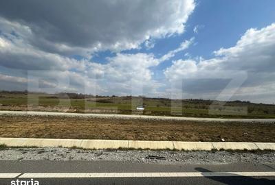 Teren de 14994 mp, în Vădeni - 3