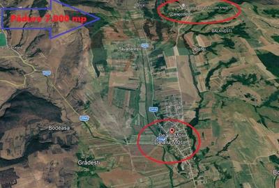 Teren agricol extravilan de 7000 mp, în Dealu Morii - 2