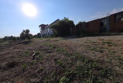 Teren Construcții intravilan de 3050 mp, în 1 Decembrie - 10