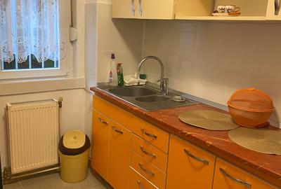Apartament cu 2 camere semidecomandat în Govândari - 2