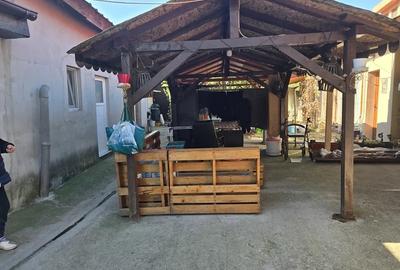 Casă cu 2 camere în Mehala