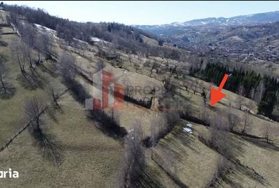 Teren de 3520 mp, în Moieciu - 2