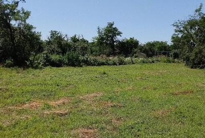 Casă cu 3 camere cu Teren 829 Mp în Brazii
