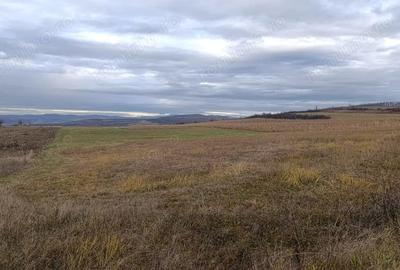 Teren de 20000 mp, în Saschiz