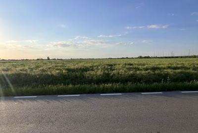 Teren de 500 mp, în Ciolpani - 3