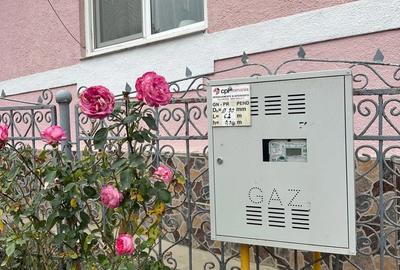 Casă cu Teren 886 Mp în Stejeriș