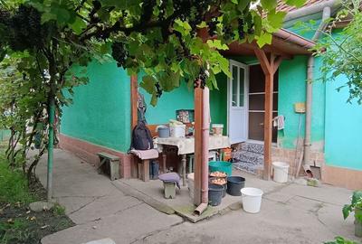 Casă cu 3 camere în Călanu Mic - 7