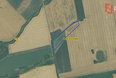 Teren agricol extravilan de 26900 mp, în Jebel - 3