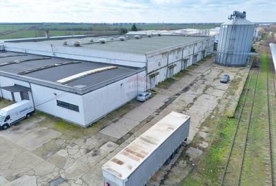 Spațiu industrial, de 6,132 mp, în Aradul Nou - 6