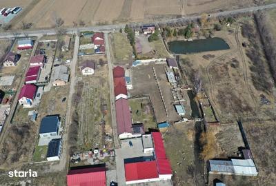 Teren de 6500 mp, în Secuieni - 3