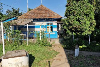 Casă cu 2 camere în Cozia - 9