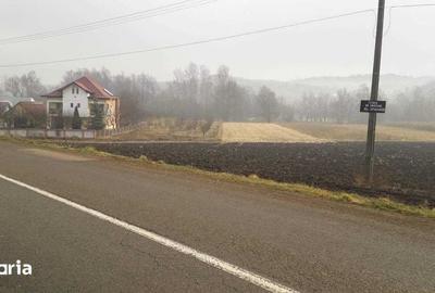 Teren de 1500 mp, în Burdujeni