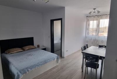 Garsonieră decomandată în Valea Lupului - 1