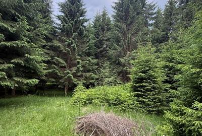 Teren agricol intravilan de 2500 mp, în Comandău - 3
