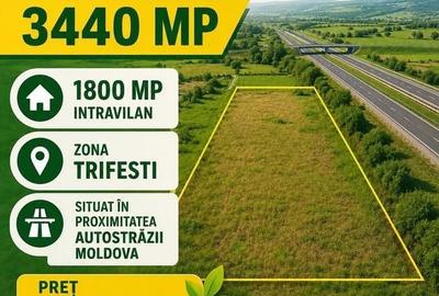 Spațiu comercial, în Trifești